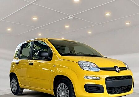 Fiat Panda 1.0 GSE Hybrid*DAB*City-Paket*PDC