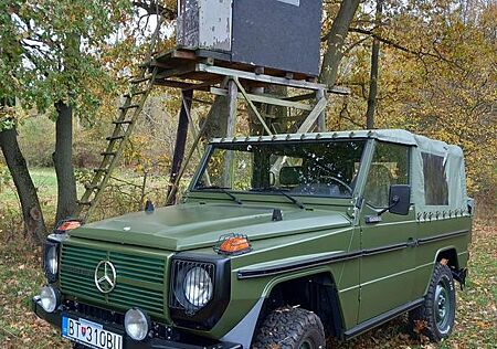Mercedes-Benz G 250 WOLF KOMPLET RENOVIERT