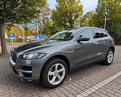 Jaguar F-Pace 20d AWD Portfolio Aut. Neue Inspektion