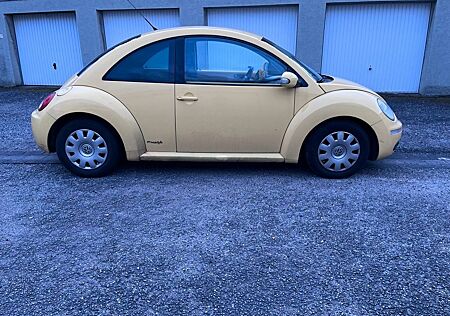 VW New Beetle Volkswagen Beatle :