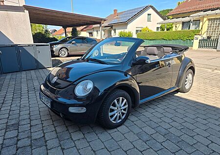 VW Beetle Volkswagen