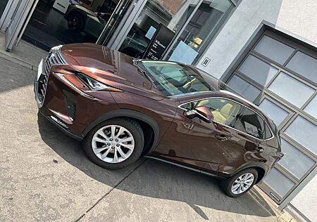 Lexus NX 300 300h E-FOUR Luxury Line Luxury Line