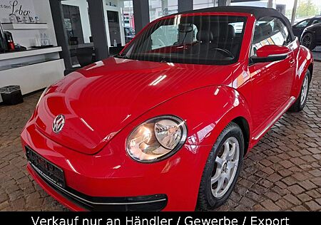 VW Beetle Volkswagen Cabrio