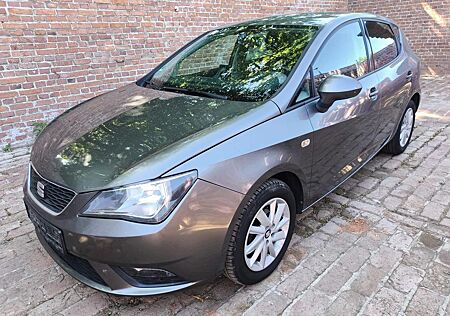 Seat Ibiza Stylance / Style 1.2 TSI Servo Defekt
