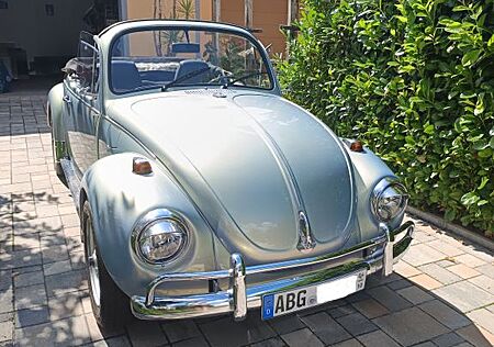VW Käfer Volkswagen