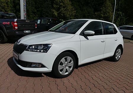 Skoda Fabia 1.0*Klimaauto*SHZ*Kam