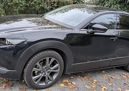 Mazda CX-30 gebraucht kaufen Mazda CX-30 e-SKYACTIV-X Excl. DASO DESI + Sommerräder