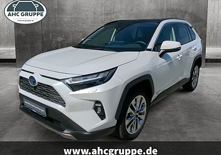 Toyota RAV 4 Hybrid 2.5 VVT-i EU6d (Syst.218 PS) 4x2 Lo