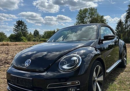 VW New Beetle Volkswagen // SCHECKHEFT // ALU // SOUND // PDC