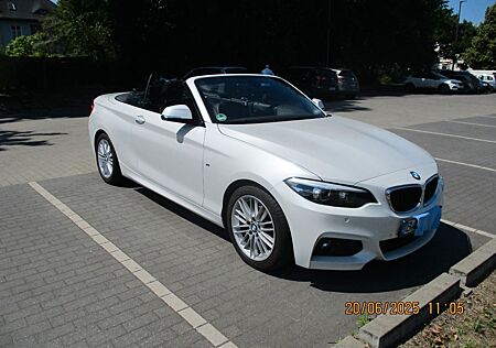 BMW 218d Cabrio M-Sport Vollleder M-Paket