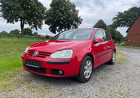 VW Golf Volkswagen V 1.4 Lim. Trendline*55KW*Klima*NUR EXPORT!