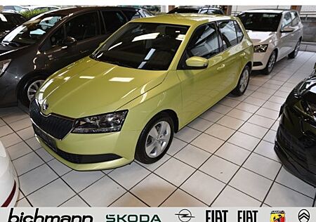 Skoda Fabia Cool Plus DAB+ PDC BT Alu SHZ