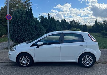 Fiat Punto 1.2 | Klima | Unfallfrei | 2012
