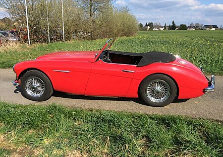 Austin Healey Andere