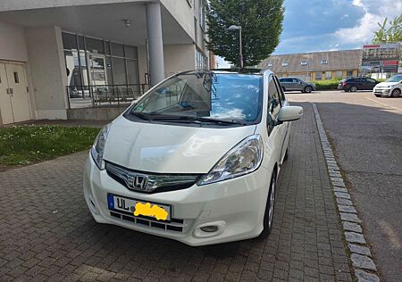 Honda Jazz 1.3 Hybrid Exclusive PANO SHZ TEMPO