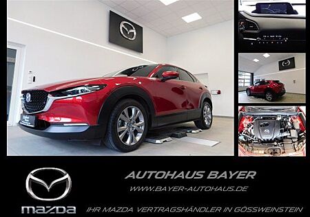 Mazda CX-30 2.0 150PS Selection Des. Pa./18"Alu/Rot-Me