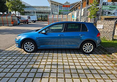 VW Golf Volkswagen 1.6 TDI Longue ( 2 / 2027 TÜV )