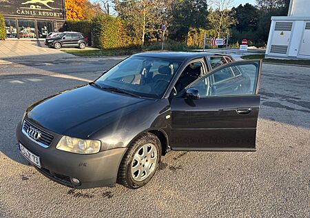 Audi A3 1.6 TSi 8L Top Zustand!