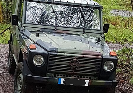 Mercedes-Benz G 400 WOLF 250 GD