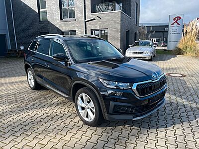 Skoda Kodiaq Business/NAVI/LED/Leder/Facelift