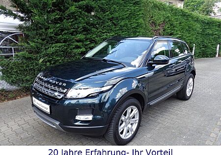 Land Rover Range Rover Evoque 2.2 TD4 Pure-Leder-Xenon-AHK