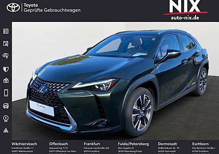 Lexus UX 250h 2.0 Hybrid Luxury Line LED LEDER