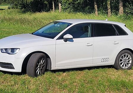 Audi A3 1.6 TDI Attraction Sportback Attraction