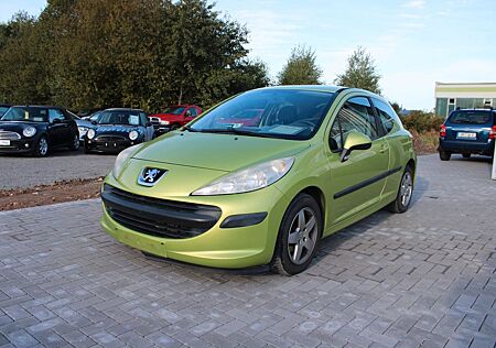 Peugeot 207 Filou_8 Fachbereift_