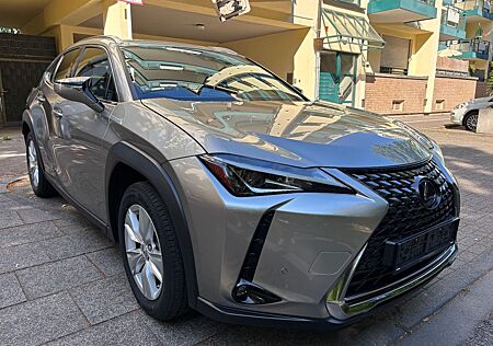 Lexus UX 250h Style Edition Kam,ACC.