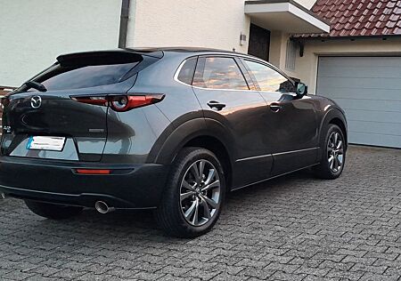 Mazda CX-30 2.0 SKYACTIV-X Allrad AWD Selection ...