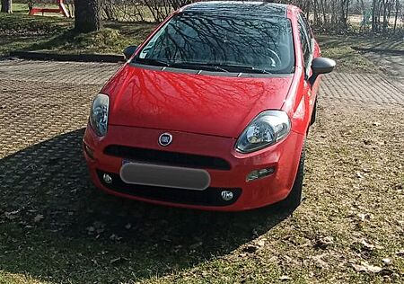 Fiat Punto 1.2 8V YOUNG YOUNG