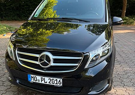 Mercedes-Benz V 250 d Avantgarde | Burmester | 360° | LED