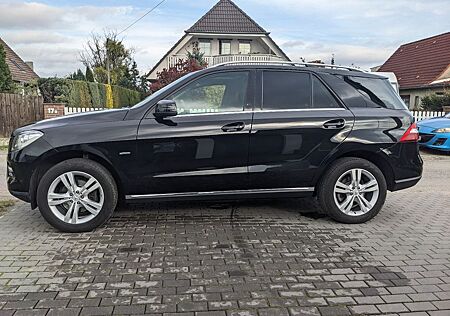 Mercedes-Benz ML 250 BlueTEC Schiebedach Totwinkel AHK