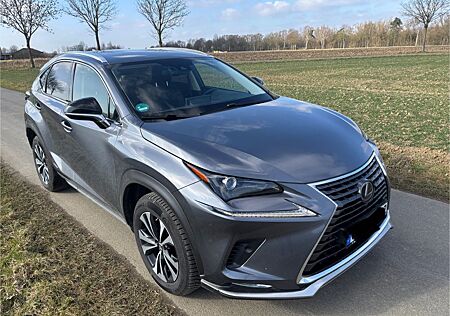 Lexus NX 300 NX 300h Style Edition