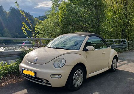 VW Beetle Volkswagen