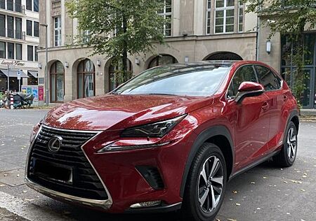 Lexus NX 300h Luxury Line | 2019 | Lexus-Garant