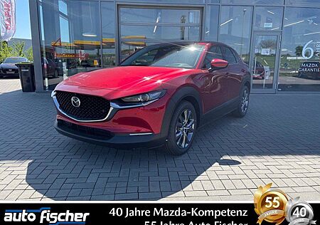 Mazda CX-30 2.0 (186PS) Autom. Takumi BLOP Sitzheizung