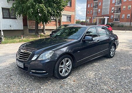 Mercedes-Benz E 220 gebraucht kaufen Mercedes-Benz E 220 CDI BlueEFFICIENCY AVANTGARDE AVANTGARDE