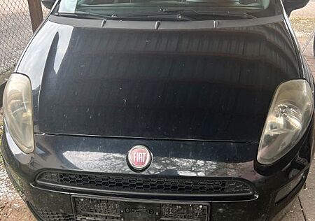 Fiat Punto 1.2 8V POP POP