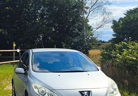 Peugeot 307 1.6 16V Grand Filou Cool 110 PS VB