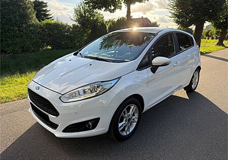 Ford Fiesta 1,0 74 KW mit LED, Navi & Einparkhilfe