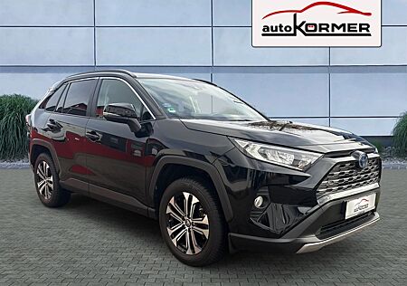 Toyota RAV 4 RAV4 Hybrid 4x2 Business Ed. Navi,ACC,Kamera,PDC