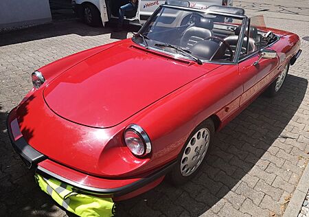 Alfa Romeo Spider