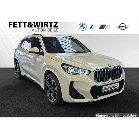 BMW X1 leasen