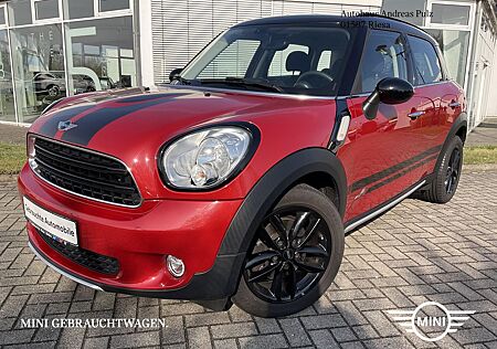 Mini Cooper D Countryman Cooper D Automatik Countryman ALL4 Salt