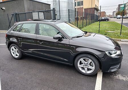 Audi A3 1.4 g-tron Standheizung Glasdach neue Multitr