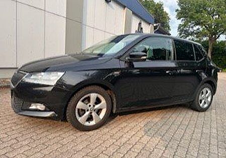 Skoda Fabia 1.0 TSI CLEVER PDC Clima SH GJR Alu