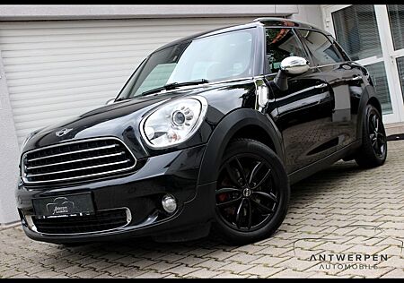 Mini Cooper D Countryman gebraucht kaufen Mini Cooper D Countryman Countryman*D*All4*Navi*Panorama*Leder*Xenon*PDC*