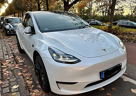 Tesla Model Y Performance Dual Motor AWD Performance