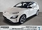 Hyundai Kona Elektro Trend Automatik+Navi+Kamera+LED